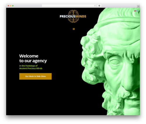 Dzs videogallery WordPress plugin - preciousminds.eu