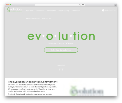 WordPress website theme Duptronics - evolutionendo.com