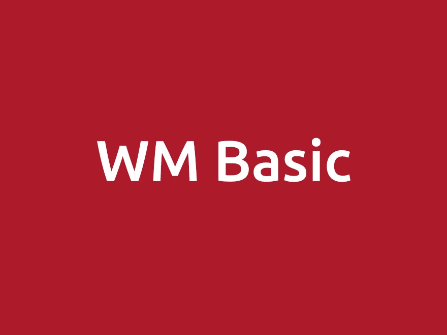 WordPress website theme WM Basic by Webmakers