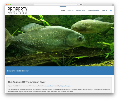 Mighty WordPress website theme - propertyportalfeeder.com