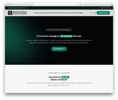 Visa acceptance solutions WordPress plugin - selmangurlesin.com