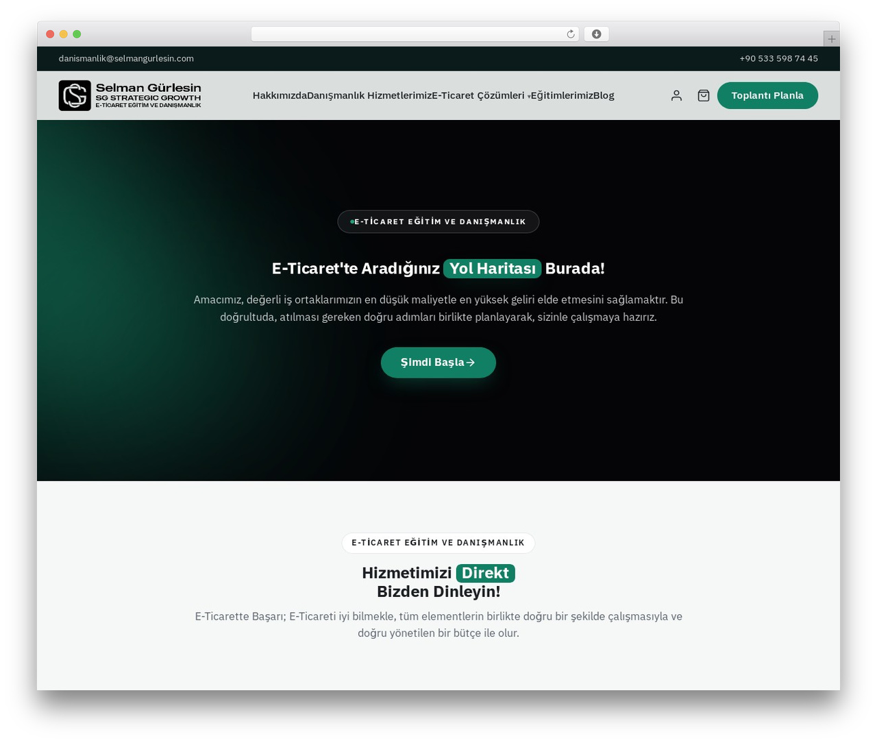 SG Theme theme WordPress - selmangurlesin.com