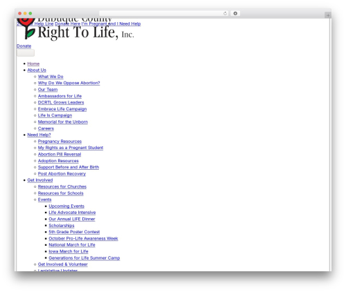 DCRTL Custom Theme theme WordPress - dcrtl.org
