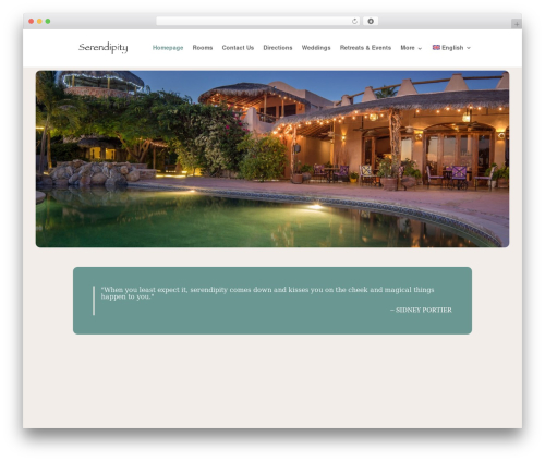 Divi WordPress theme - serendipityventures.com