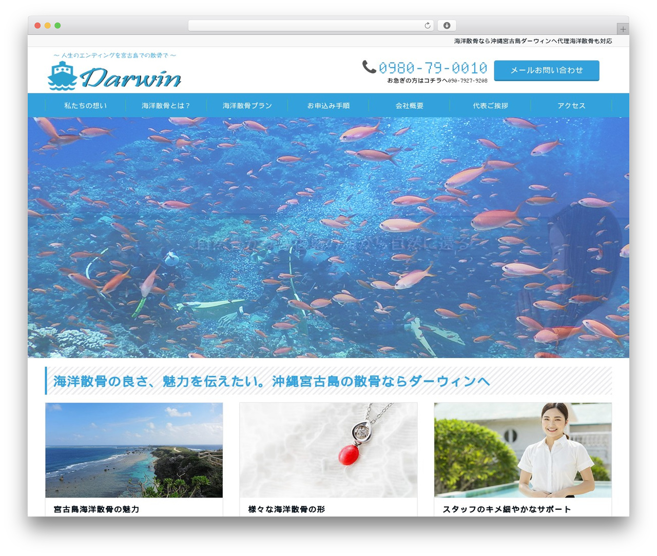 Emanon Pro WordPress theme design - darwin-sankotsu.com
