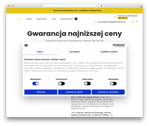WordPress theme FixTeam - pineapplekatowice.pl