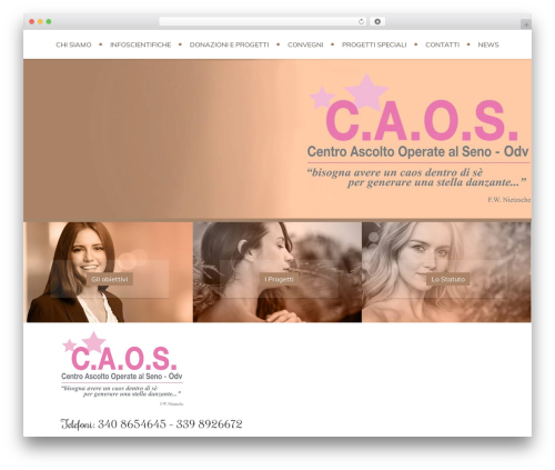 Zarja WordPress theme - caosva.org
