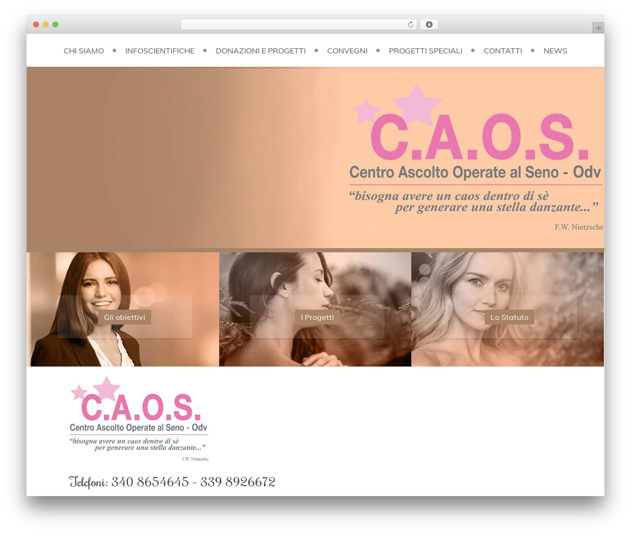 Zarja WordPress theme - caosva.org