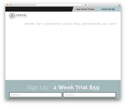 Zyth WordPress theme - updogstudios.com