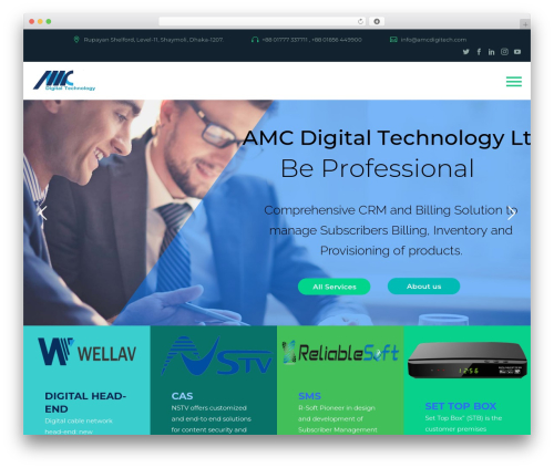 Cryption WordPress theme - amcdigitech.com