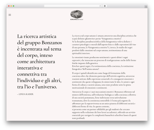 Malgre core WordPress plugin - bonzanos.com