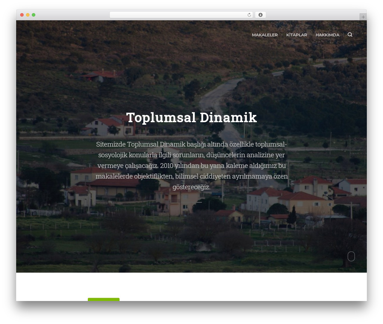 WordPress theme Ecko Cedar - aydinyaka.com