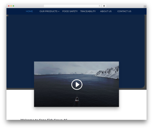 Mn footer WordPress plugin - capefish.com