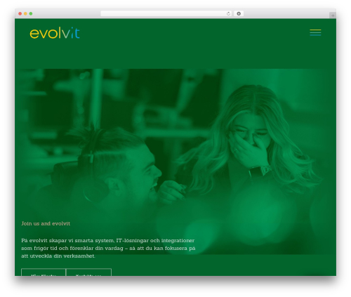 Evolvit WordPress theme - evolvit.se