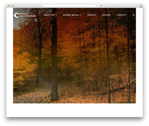 Toggle_collapse_for_elementor WordPress plugin - forestawakening.com