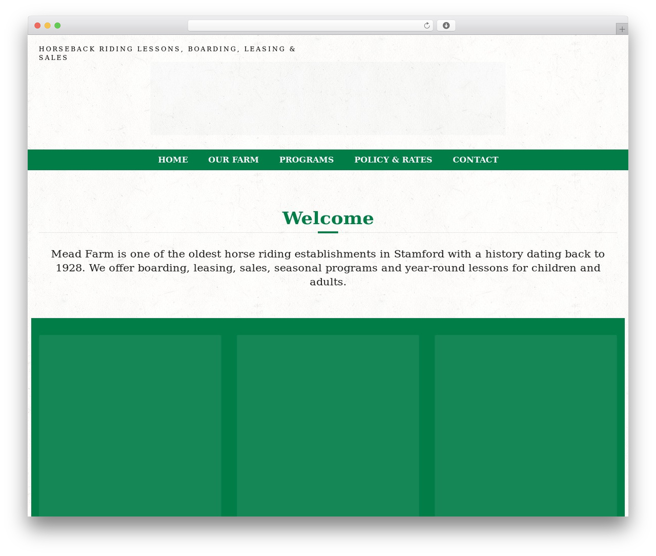 WordPress theme Equestrian Child - meadfarm.com WordPress theme Equestrian Child - meadfarm.com