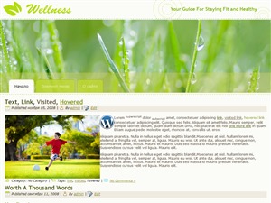 WordPress theme Temp WordPress theme Temp