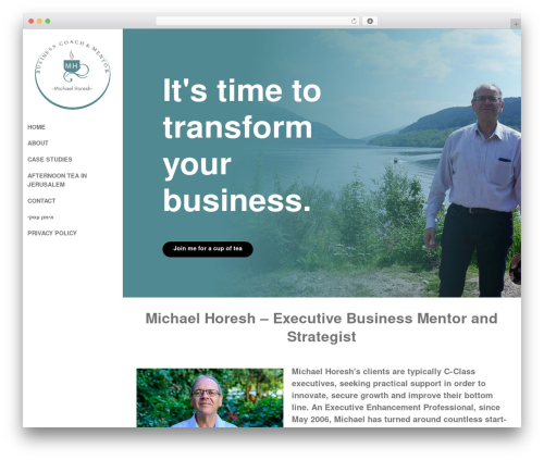 Zenith WordPress theme - michaelhoresh.com
