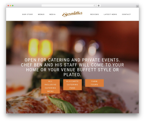 Ande WordPress theme - benedettoitaliano.com