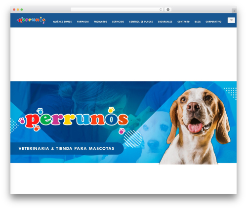 Best WordPress theme Blaszok - perrunos.com
