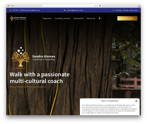 Be grid WordPress plugin - aloman.coach