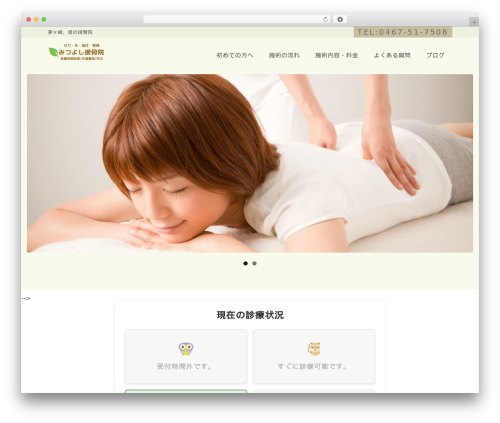 Leaf WordPress theme - mituyosi-s.com