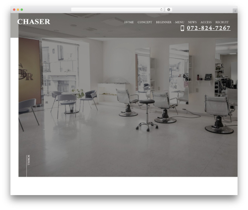 WordPress theme Themify Basic - chaser2951.com