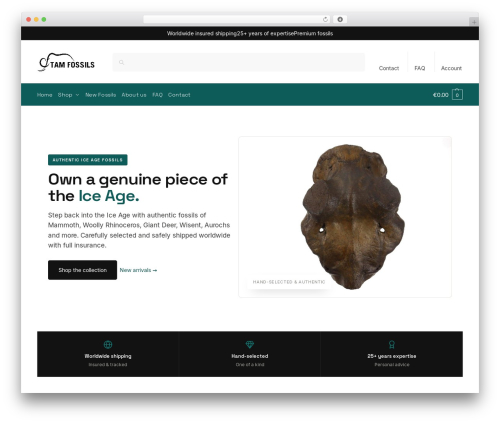 WordPress theme Shoptimizer - tamfossils.com