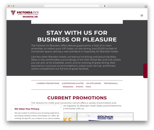 Divi theme WordPress - brandon.vicinn.com
