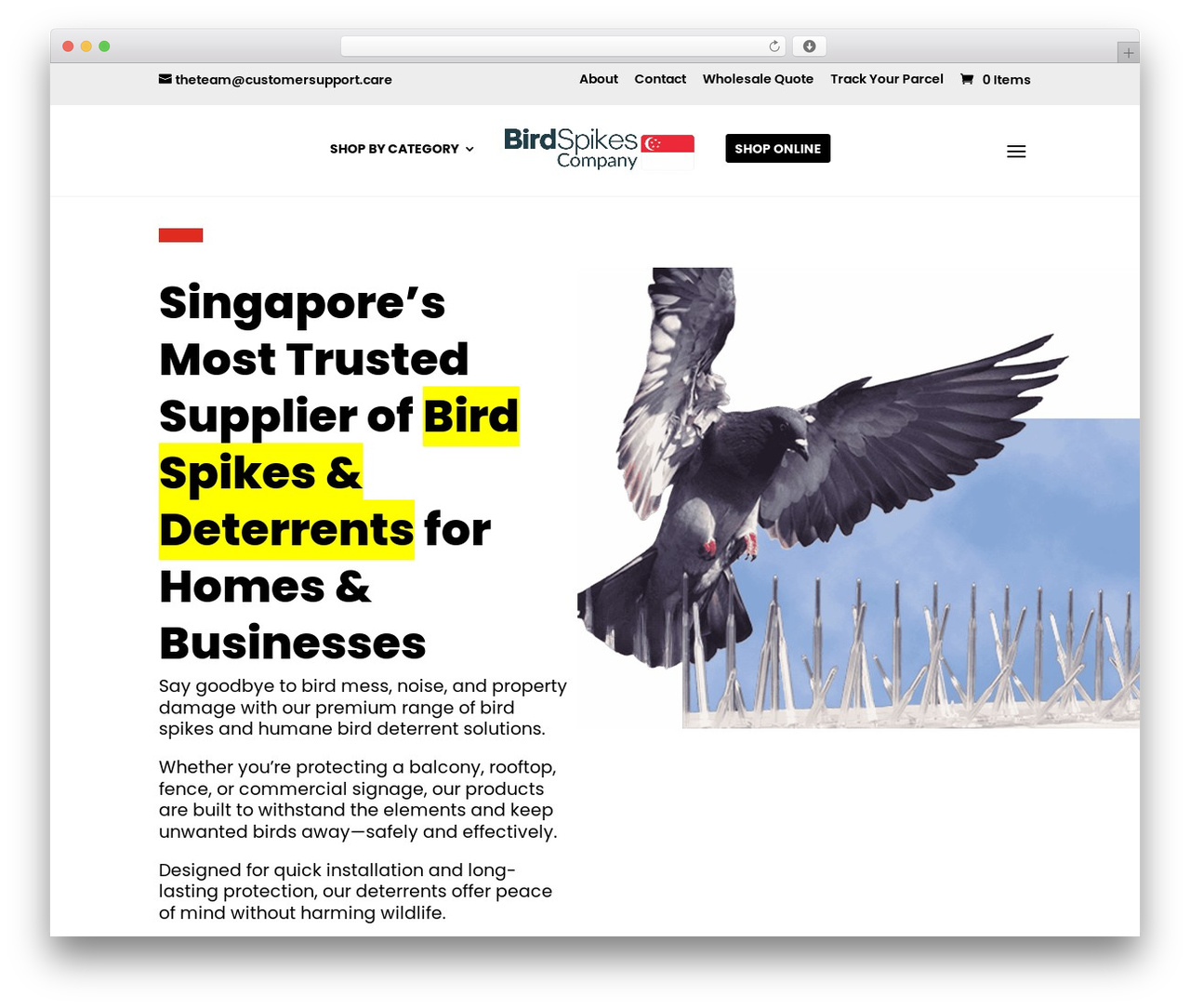 Generic Child Theme top WordPress theme - singaporebirdspikes.com