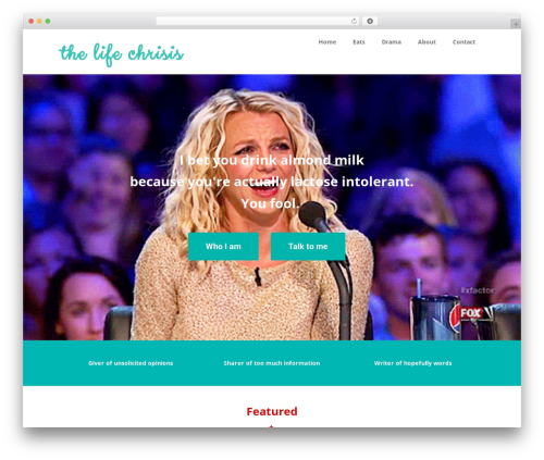 Optimizer theme WordPress - thelifechrisis.com