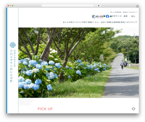 No category base wpml WordPress plugin - oirase-iju.com