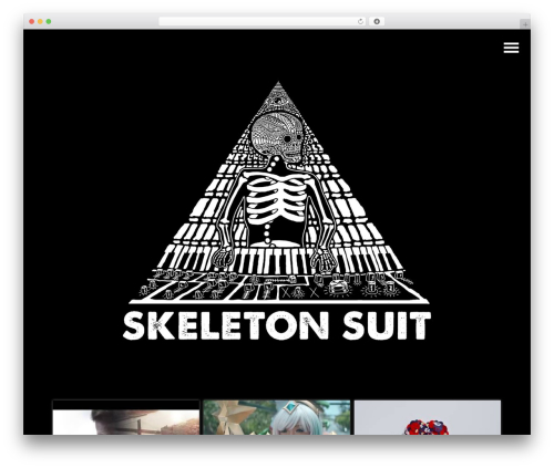 Srizon youtube album pro WordPress plugin - skeletonsuit.com