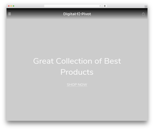 Alids WordPress plugin - bestgads.com