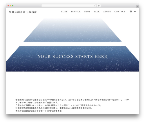 Flash WordPress theme - yano-accounting.com