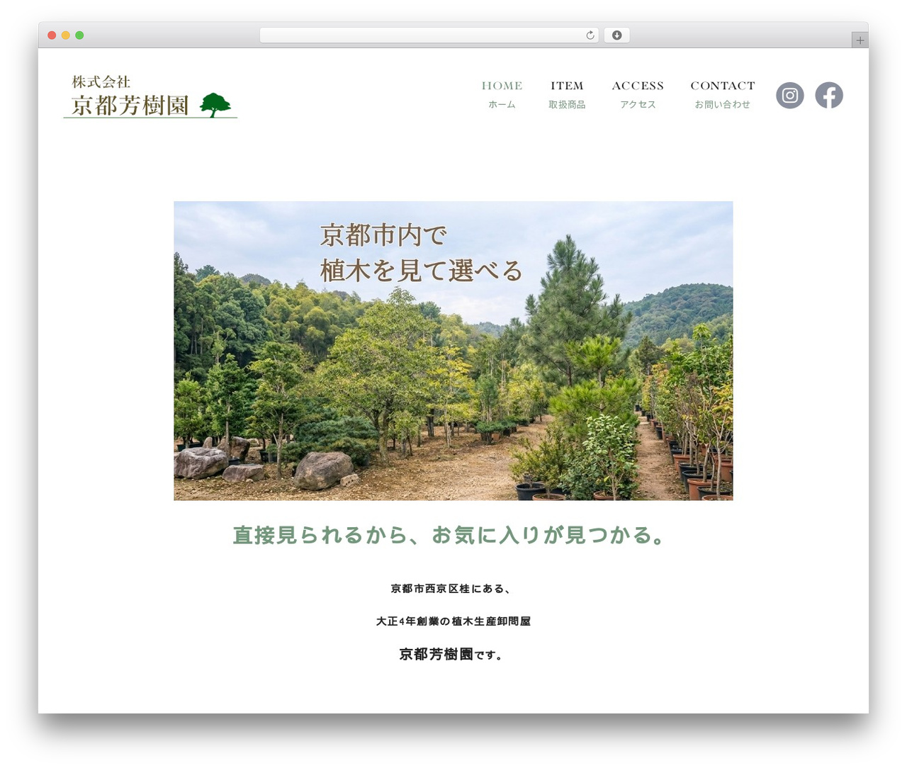 Theme WordPress Themify Basic - kyoto-balmy.com
