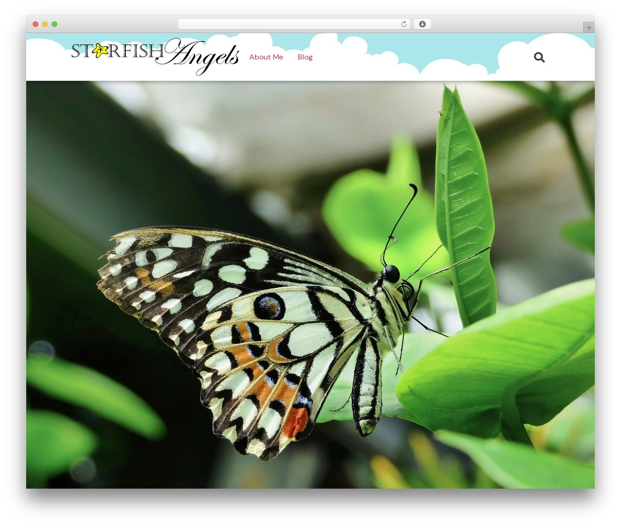 Theme WordPress Hello Elementor - starfishangels.com Theme WordPress Hello Elementor - starfishangels.com