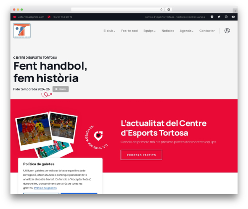 WordPress theme Lestin - cetortosa.com
