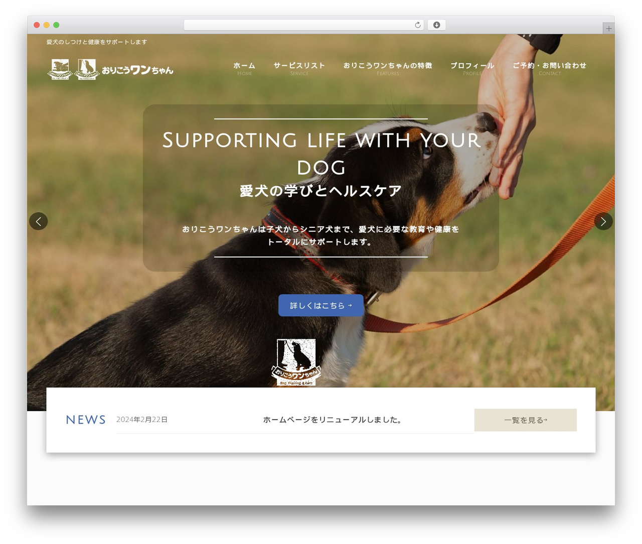 WordPress theme Lightning - orikou-wanchan.com WordPress theme Lightning - orikou-wanchan.com
