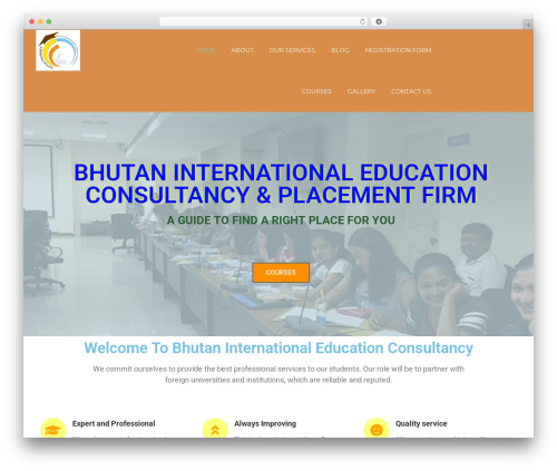 Multidot theme WordPress - bieconsultancy.com