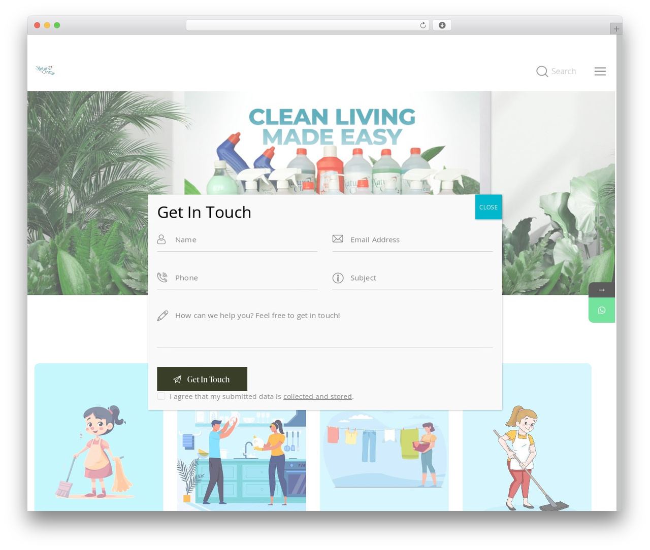 Splendour WordPress theme - natureclean.in