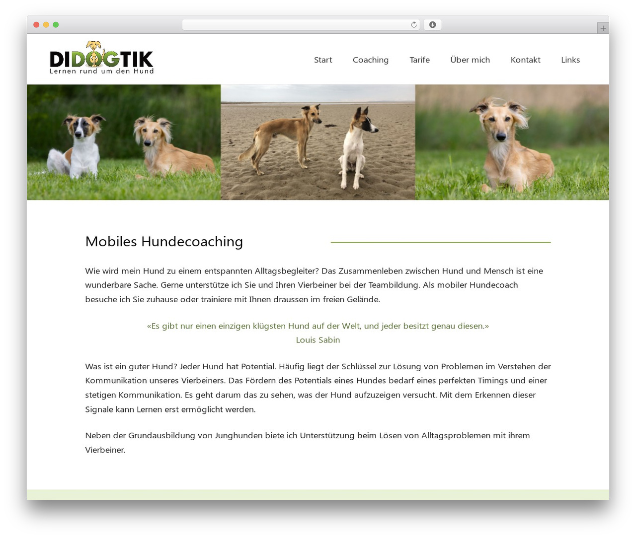 Theme WordPress Divi Child Theme - didogtik.ch Theme WordPress Divi Child Theme - didogtik.ch