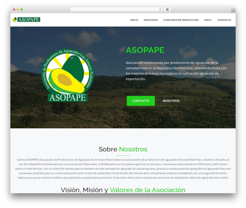 WordPress website template LandX - asopape.com