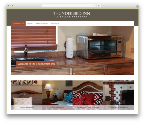 Accelerate Pro top WordPress theme - thunderbirdinnsf.com