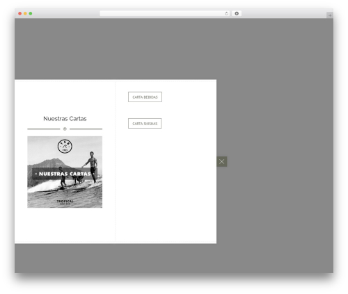 Amici WordPress theme - tropicalsurfbar.com