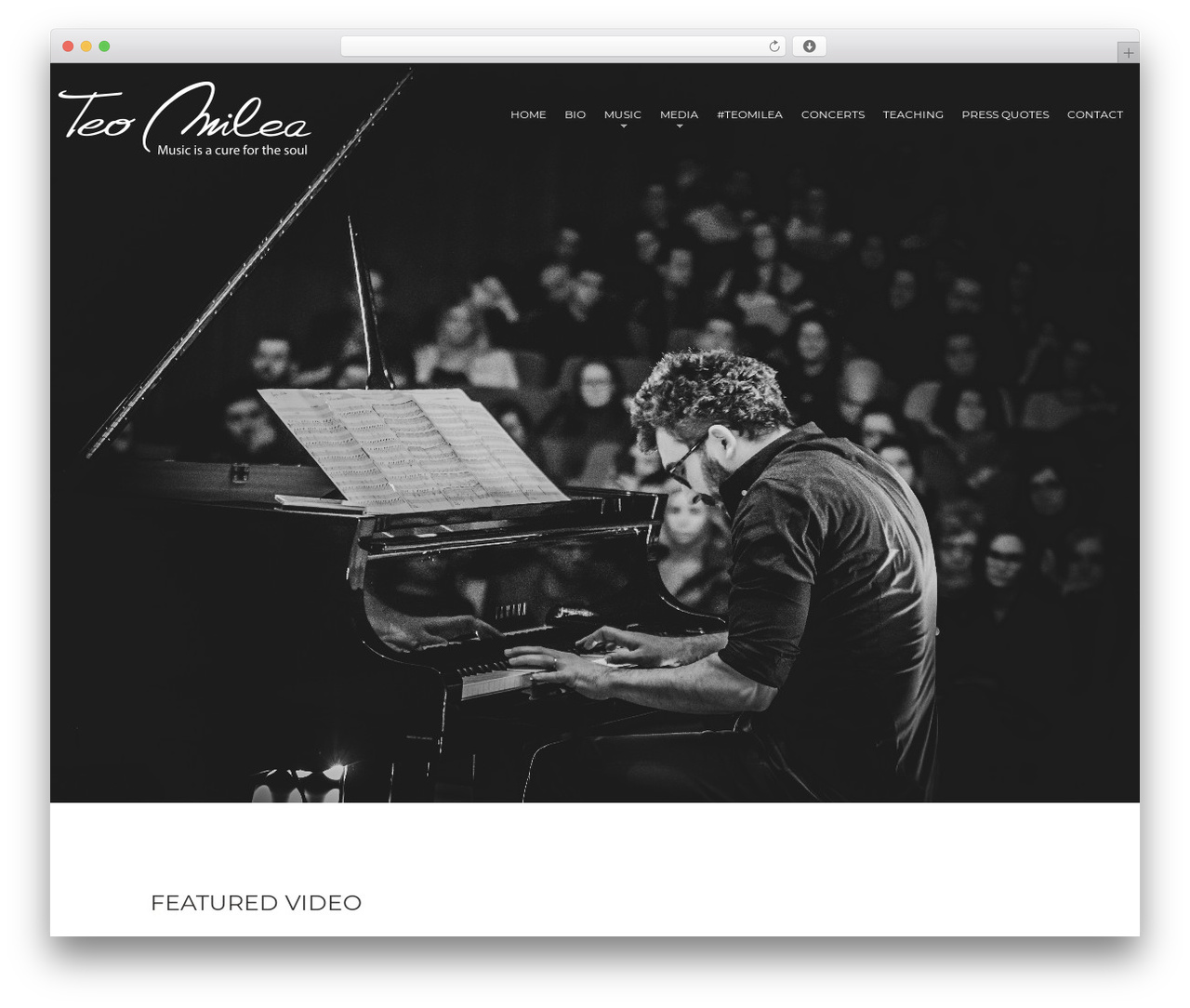 cherry WordPress theme - teomilea.com
