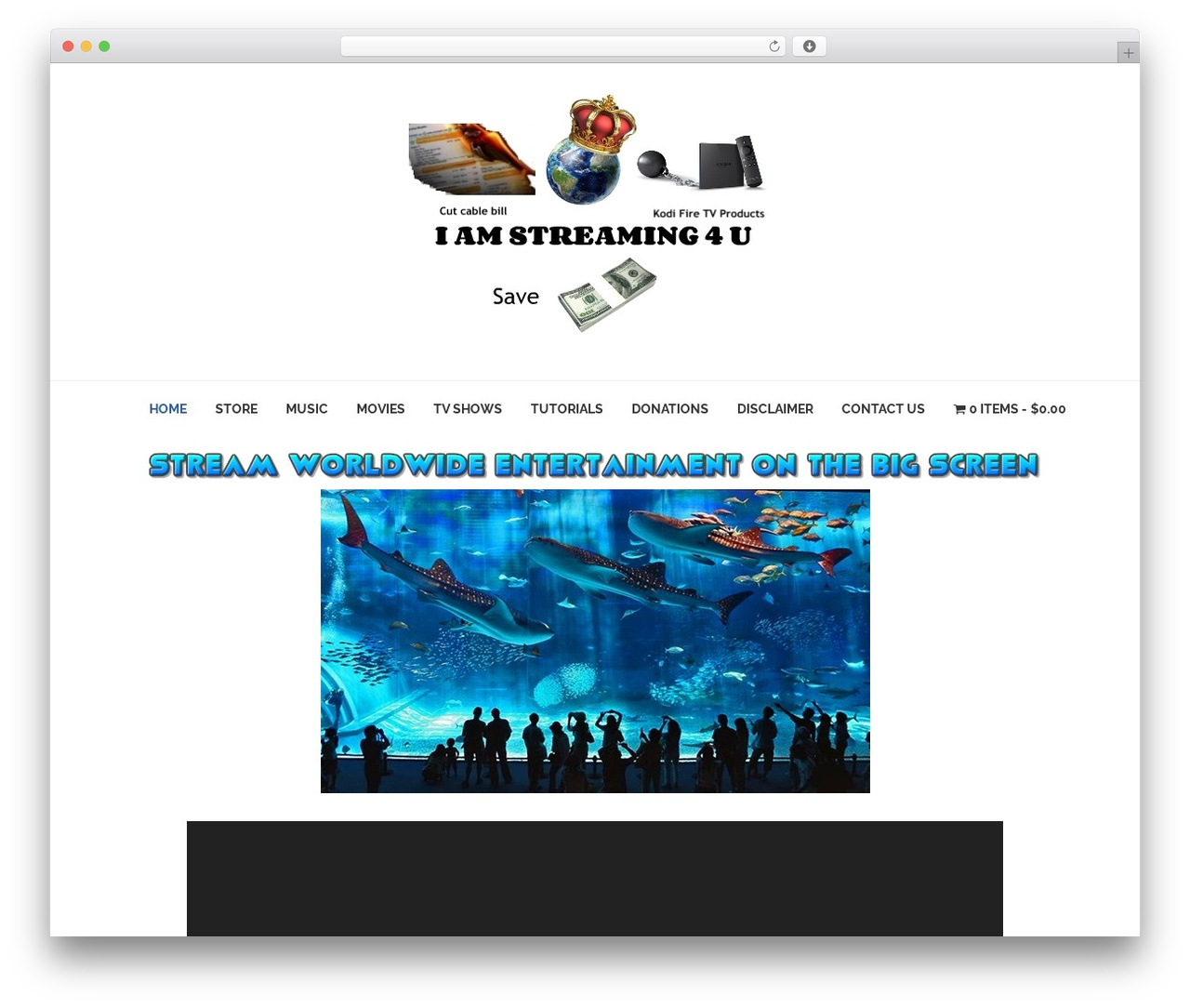 EXE theme WordPress - iamstreaming4u.com