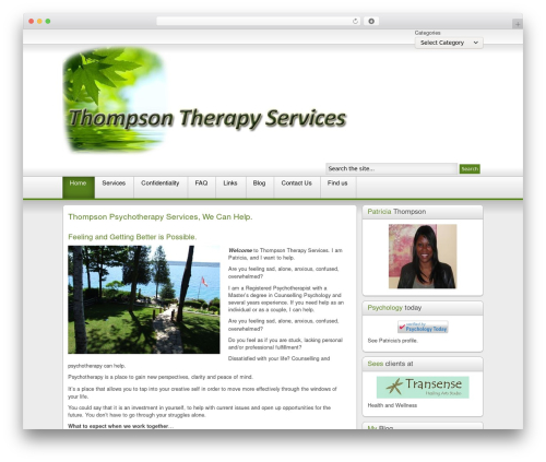 Shape5 Paradigm Shift WP theme - thompsontherapyservices.com