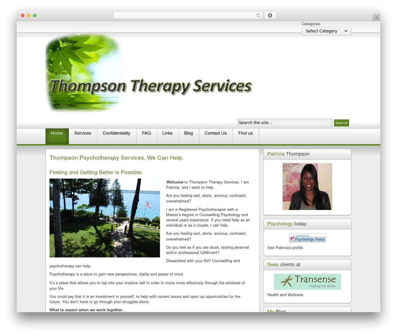 Shape5 Paradigm Shift WP theme - thompsontherapyservices.com Shape5 Paradigm Shift WP theme - thompsontherapyservices.com