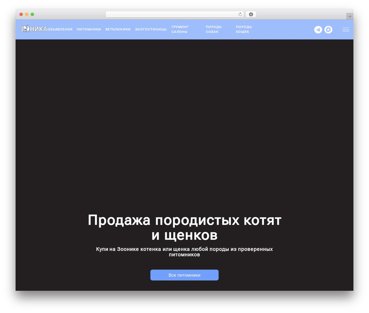 SY Develop WP theme - zoonika.com SY Develop WP theme - zoonika.com